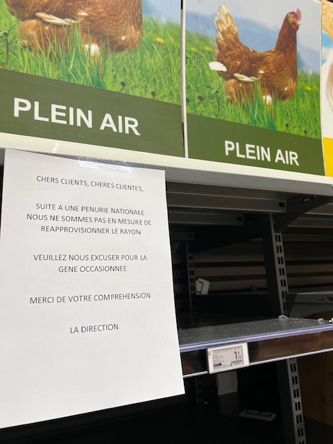 Crise des œufs ? Que se passe-t-il ? Où sont nos œufs 🐔🐣?