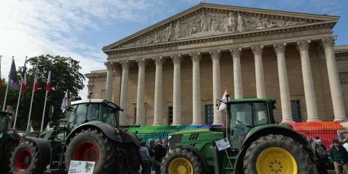 Loi Duplomb : 1 révolution agricole en marche ?